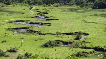 Panorámica del Parque Nacional de Arusha. Por Udare