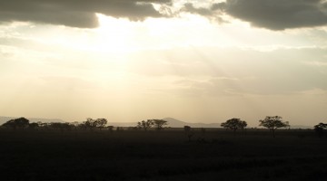 Luces y sombras en el Serengeti. Por Udare