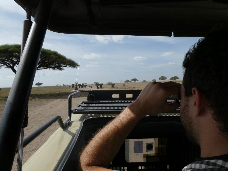 Perdiéndonos en las pistas descubriendo Serengeti. Por María