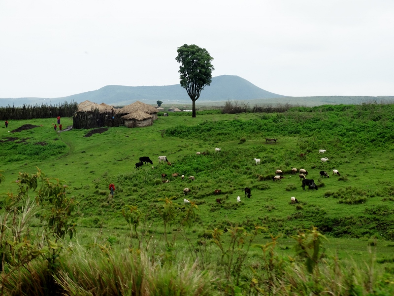 Comunidades masais en Ngorongoro. Por Udare