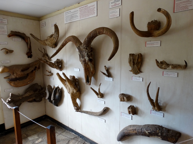 Museo de Olduvai. Por Udare