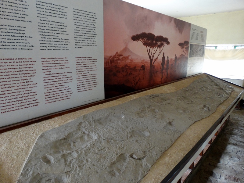 Reproducciones en el museo de Olduvai. Por Udare