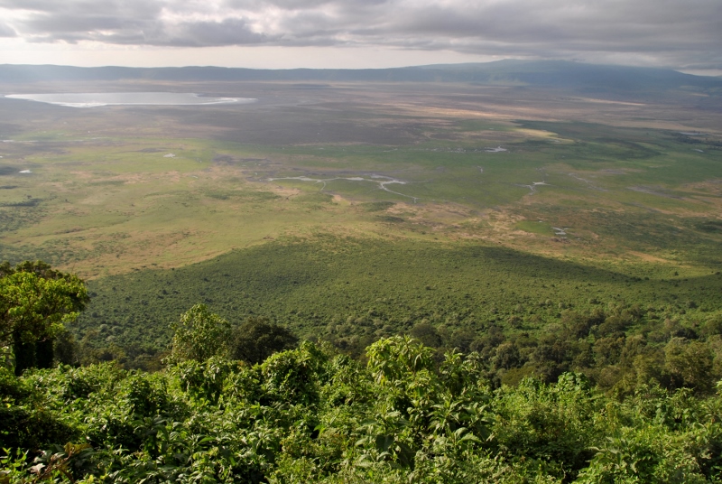 Panorámica de Ngorongoro. Por Gemma