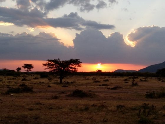 Puesta de sol en Masai Mara. Por Anna