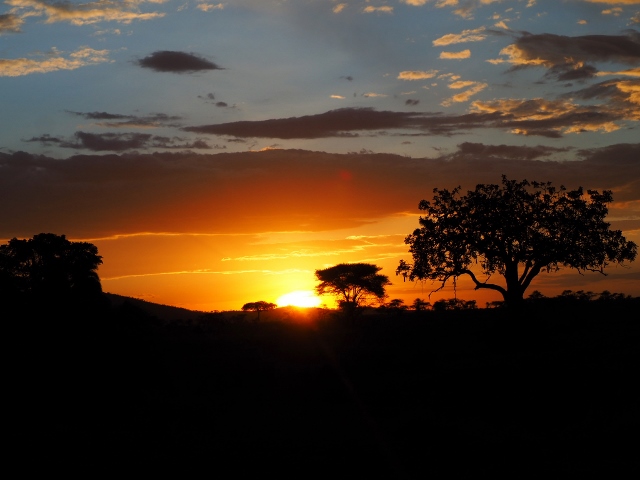 Puesta de sol en el P.N. Serengueti. Por Marcos