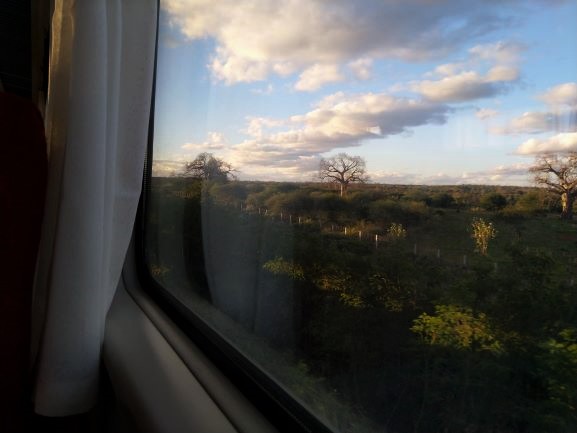 Paisaje del Parque Nacional de Tsavo durante el trayecto del tren lunático. Por Udare
