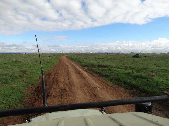Parque Nacional de Nairobi desde el vehículo de safari. Por Udare