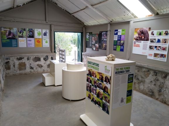 Interior del centro informativo de chimpancés de Ol Pejeta. Por Udare