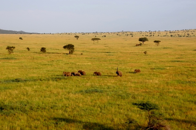 Paseo en globo en Serengeti. Por Jean