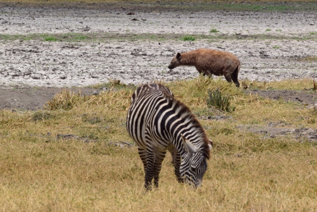 En Ngorongoro. Por Gina