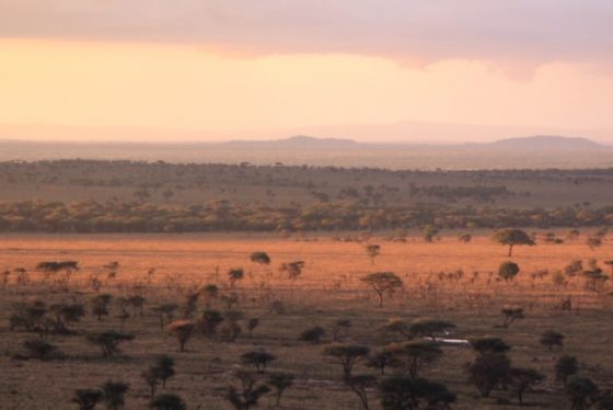 Paisaje de Serengeti. Por Ignasi