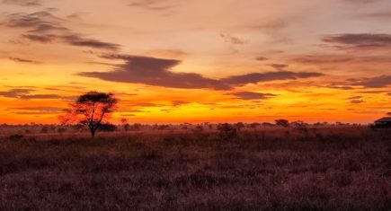 Puesta de sol en Serengeti. Por Sandra