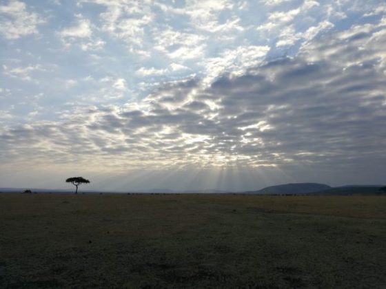 Puesta de sol en Masai Mara. Por Samanta