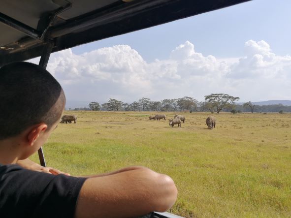 Viendo rinocerontes en Nakuru. Por Samanta