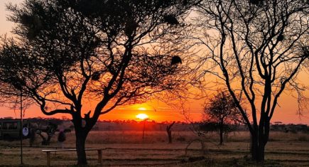 Puesta de sol en Serengeti. Por Nathalie