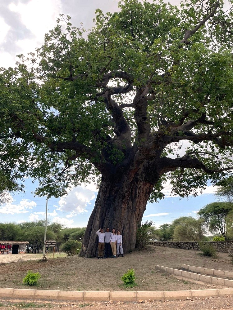 Baobab en Tarangire. Por Amaia
