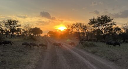 Atardece en Serengeti. Por Raquel
