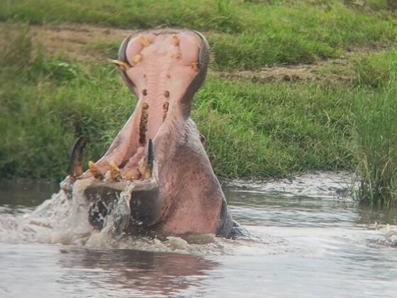 En Ngorongoro. Por Jone